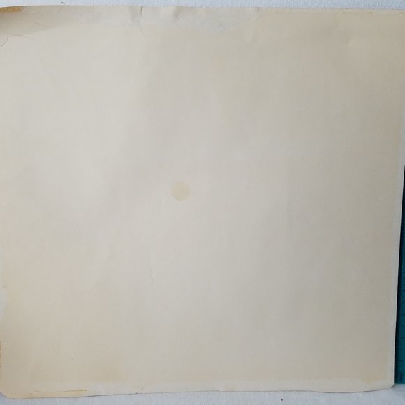 Mario Hernandez Print - Bird - Picture 4 of 4